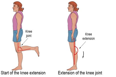 Extension Of Knee Rom
