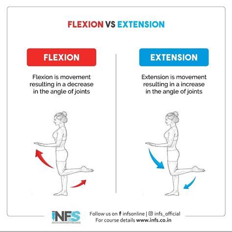 Extension Versus Flexion