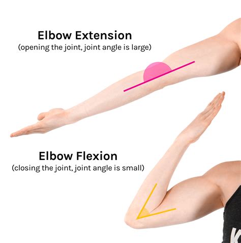 Extension Vs Flexion Elbow