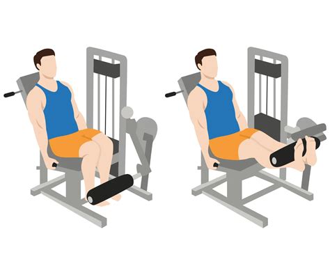 Extensions Machine Exercise