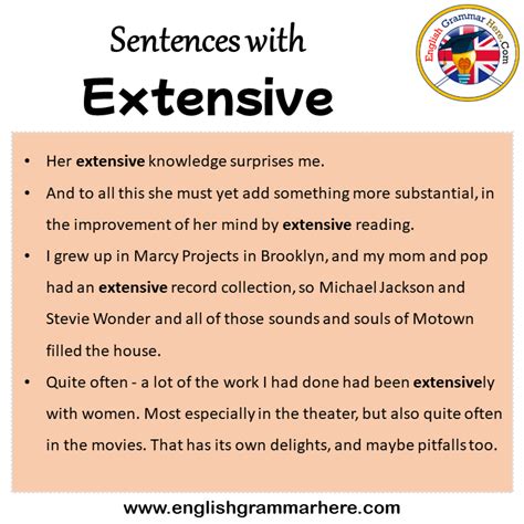 extensive in a sentence examples