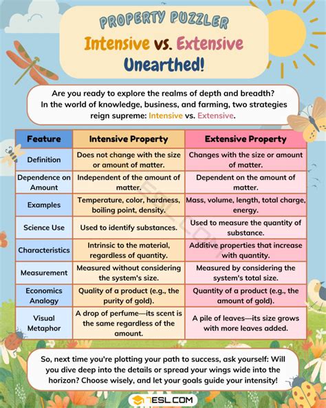 extensive meaning with example
