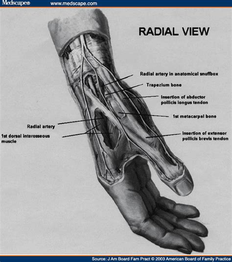 Extensor Compartment Wrist Cpt Code