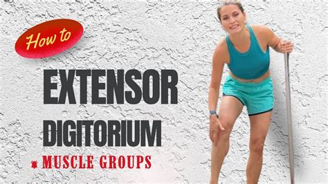 Extensor Digitorum Exercises Foot