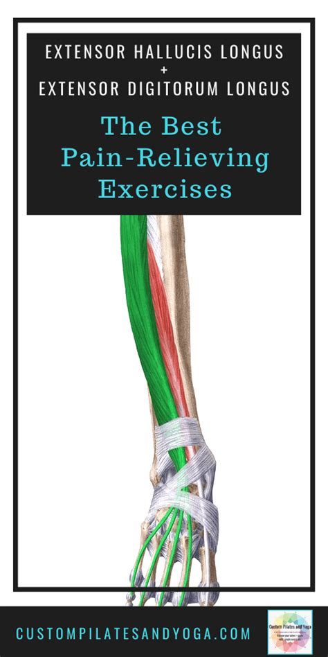 Extensor Hallucis Exercises
