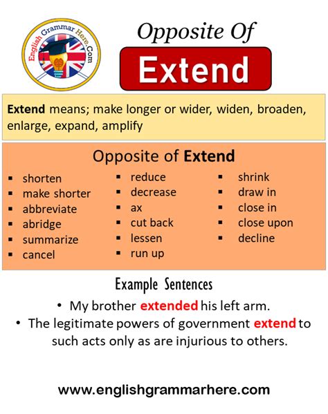 extent meaning in english with example