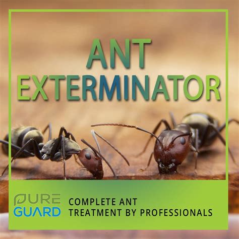 exterminator companies near me for ants
