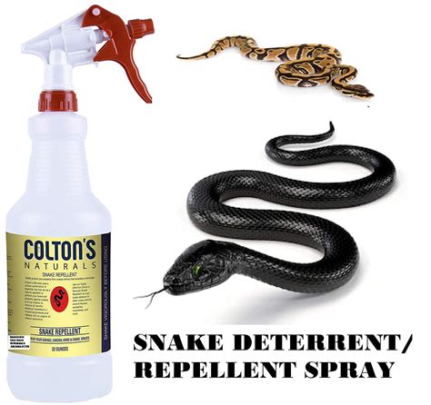 exterminator for snakes in house