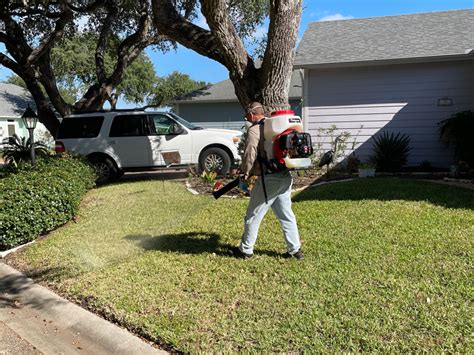 exterminators corpus christi