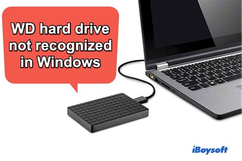 External Hard Drive Not Recognized My Computer