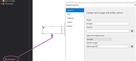 External Image Not Displaying In Rdlc