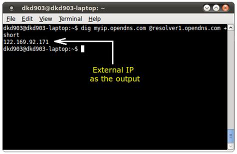external ip command line linux