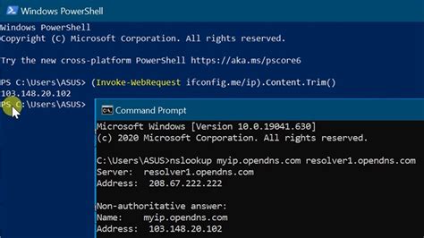 external ip from command line