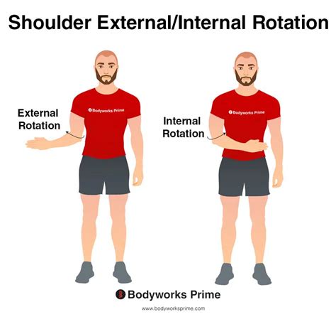 External Rotation Example