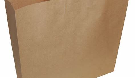 Amazon.com: Brown Kraft Paper Gift Bags Bulk with Flat Handles 50Pc