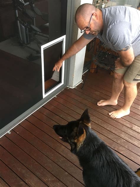 Extra Large Dog Door For Screen Door