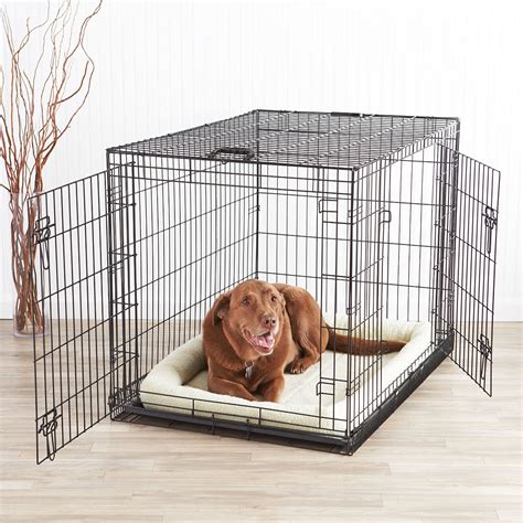 extra large dog kennel inside