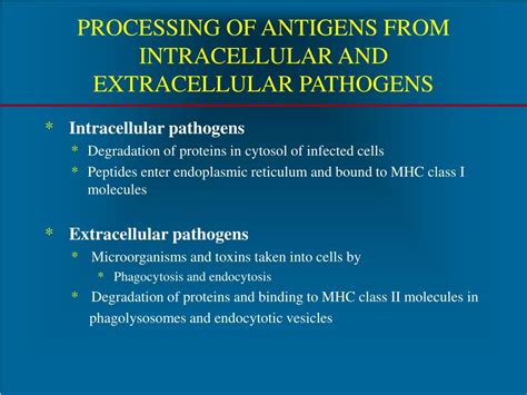 Extracellular Antigen Definition