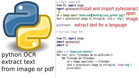 extract data from word document to excel using python