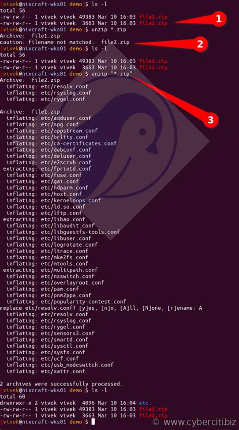 Extract Files From Multiple Folders Linux