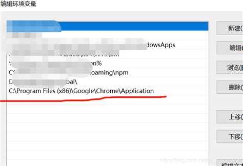 Extracting the ChromeDriver Executable