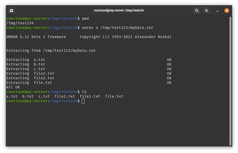 How to Create and Extract RAR Files in Linux