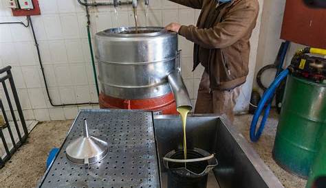 Lk120 Olive Huile D Arachide Extraction Machine D Avocat Petite Pression A Froid Machine A Huile Automatique Nigella Moulin Nigella Cold Pressed Gold Supplier