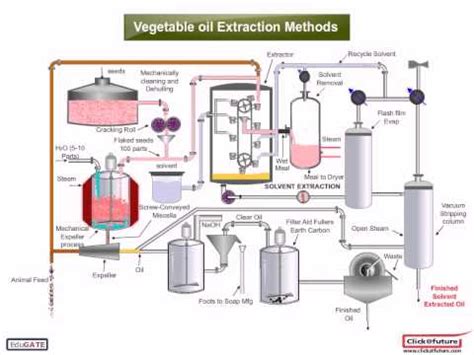 Extraction Of Vegetable Oil
