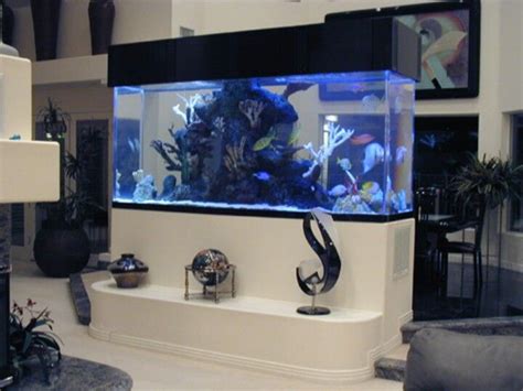 extreme fish tanks tv show