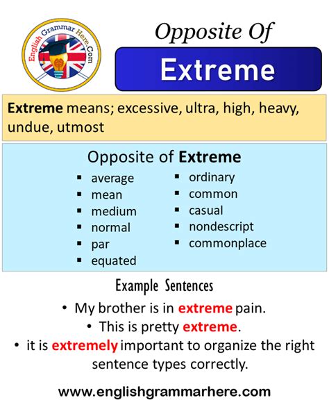 extremely meaning in english with example