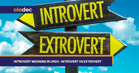 extrovert and introvert meaning in urdu with examples pdf
