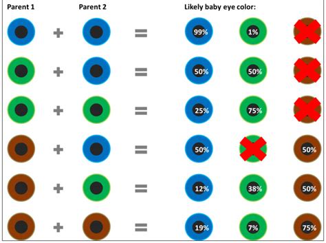 Eye Color Genetics Coloring Wallpapers Download Free Images Wallpaper [coloring436.blogspot.com]