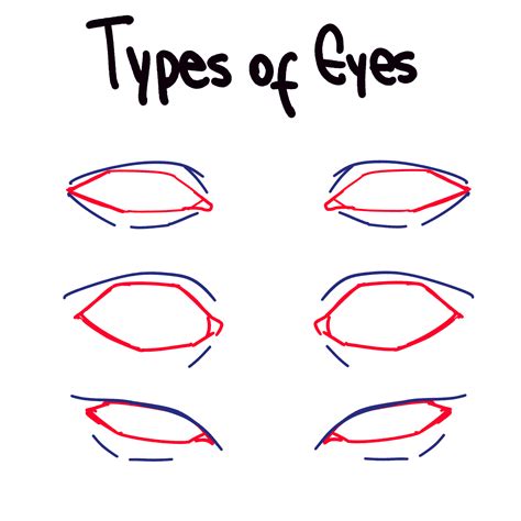 Basic Shapes for Eye Drawing