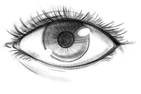 Eye Drawing Examples