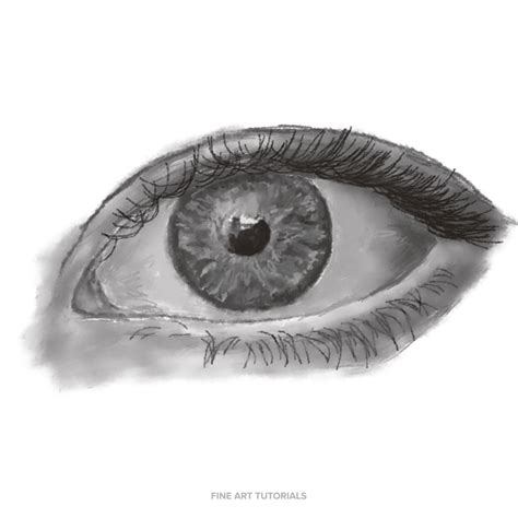 Eye Drawing Underdrawing