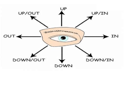 Eye Movement Quiz