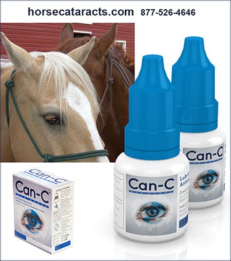 eye supplements for horses