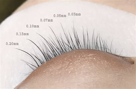 Eyelash Size Chart