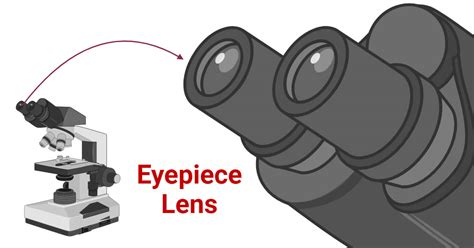 Eyepiece Lens Microscope