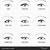 eyeshadow practice templates