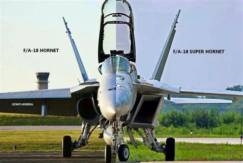 f-18 hornet vs f-18 super hornet