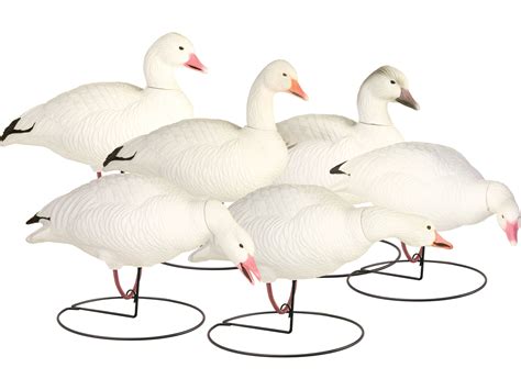 fa snow goose decoys