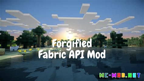 Fabric Api Mod