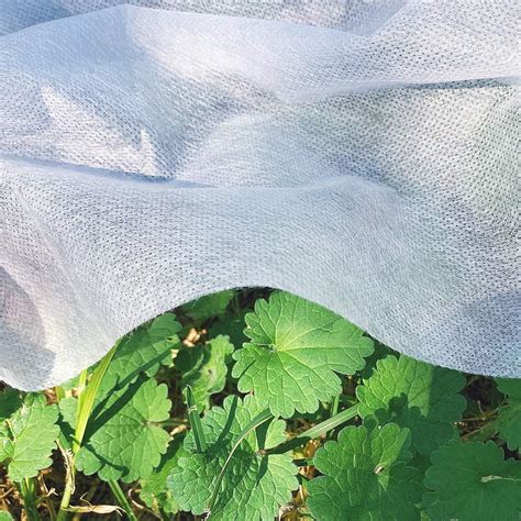 fabric to protect plants from frost