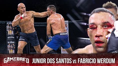 fabricio werdum vs junior dos santos