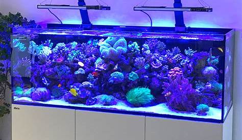 Fabriquer Rampe Led Aquarium Eau Douce NICREW Éclairage LED, LED Pour D'eau