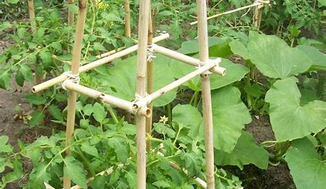 DIY jardin fabriquer des panierstuteurs en bambou