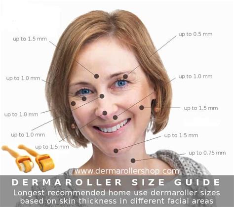 Face Derma Roller Size