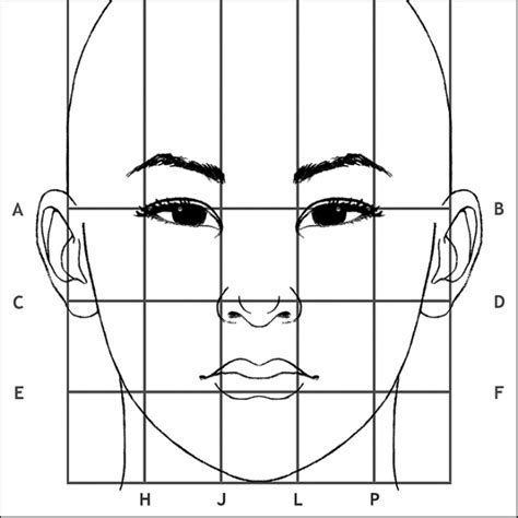 Face Diagram Drawing