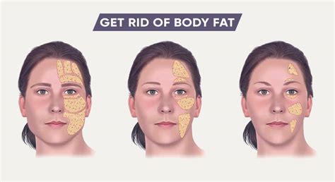 Face Fat Percentage